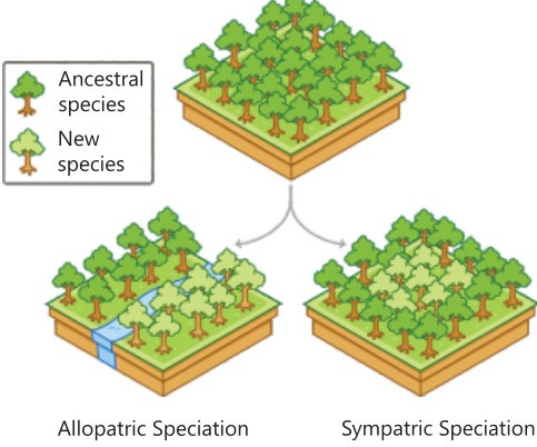 Fig 10.5: Main types of speciation