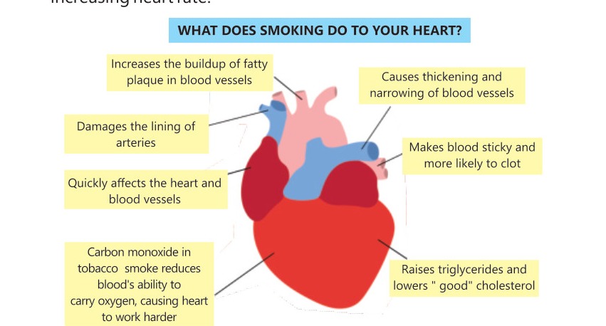 Fig 3.11: Public awareness poster on "Effects of Smoking on Heart"