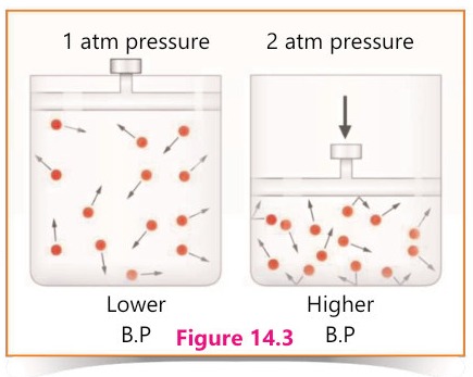 Fig 14.3: Effect of pressure on boiling point
