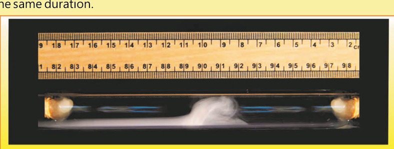 Fig 14.7: Rates of diffusion of gases