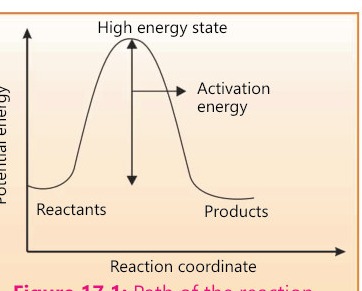 Fig 17.1: Path of the reaction