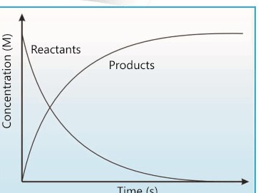 Fig 17.2: Concentration time graph