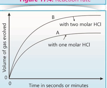 Fig 17.5: Reaction rates at two different concentrations