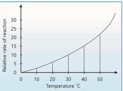 Fig 17.6: Rise in rate of reaction with temperature