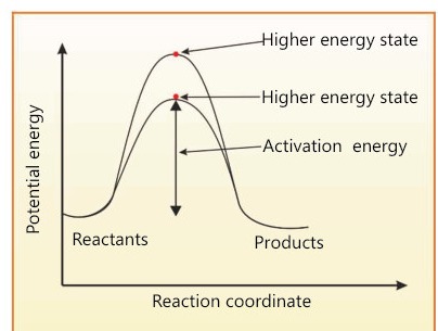 Fig 17.7: Path of reaction with or without the presence of a catalyst