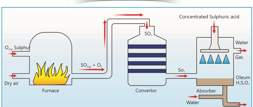 Fig 19.2: Contact process