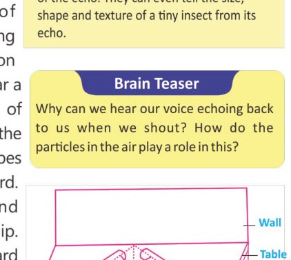 Fig 13.11: Reflection of sound using plastic tubes and a ticking clock