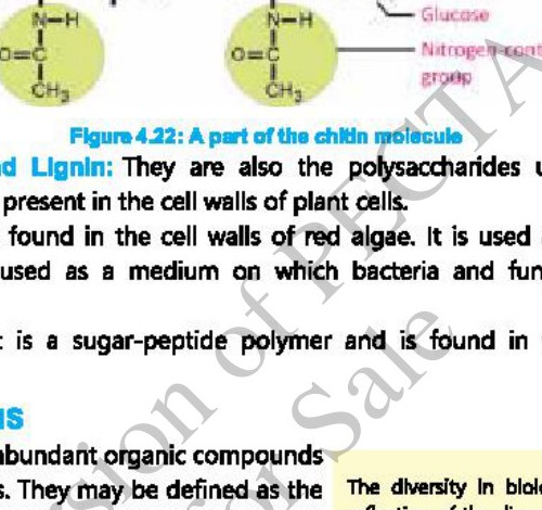 Fig 10.2: Formation of peptides bond between glycine and alanine