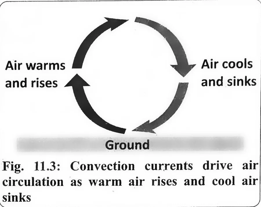 Fig 11.3: Convection currents drive air circulation as warm air rises and cool air sinks