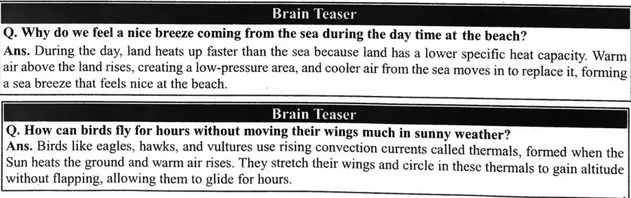 Fig 11.7: Birds flying taking the advantage of thermal air currents
