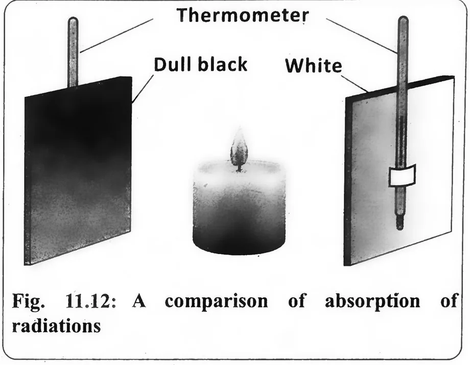 Fig 11.12: A comparison of absorption of radiations