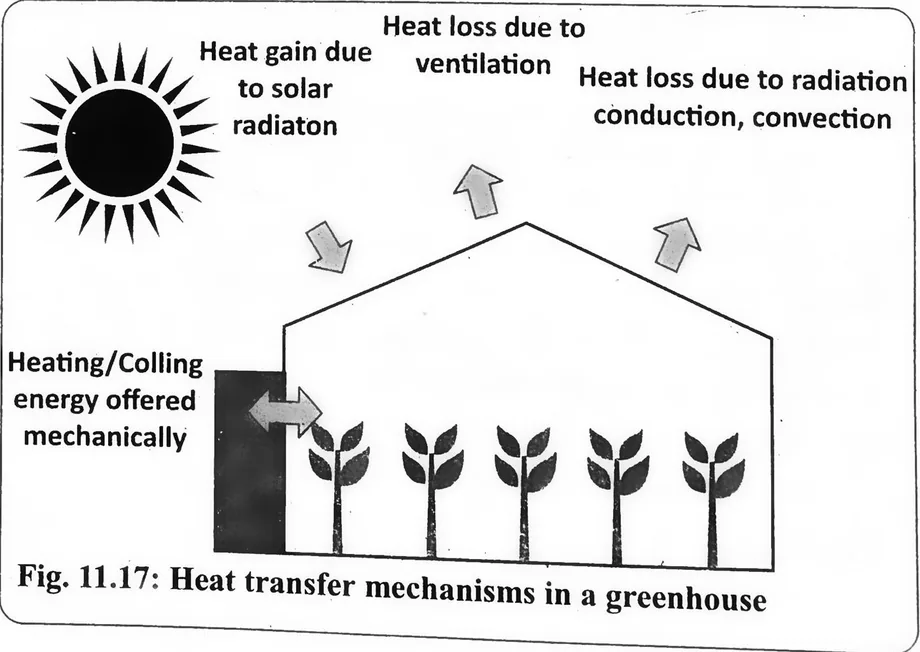 Fig 11.17: Heat transfer mechanisms in a greenhouse