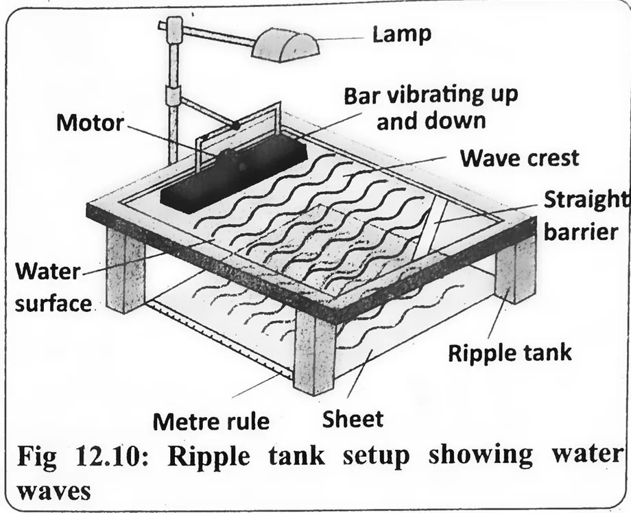 Fig 12.10: Ripple tank setup showing water waves