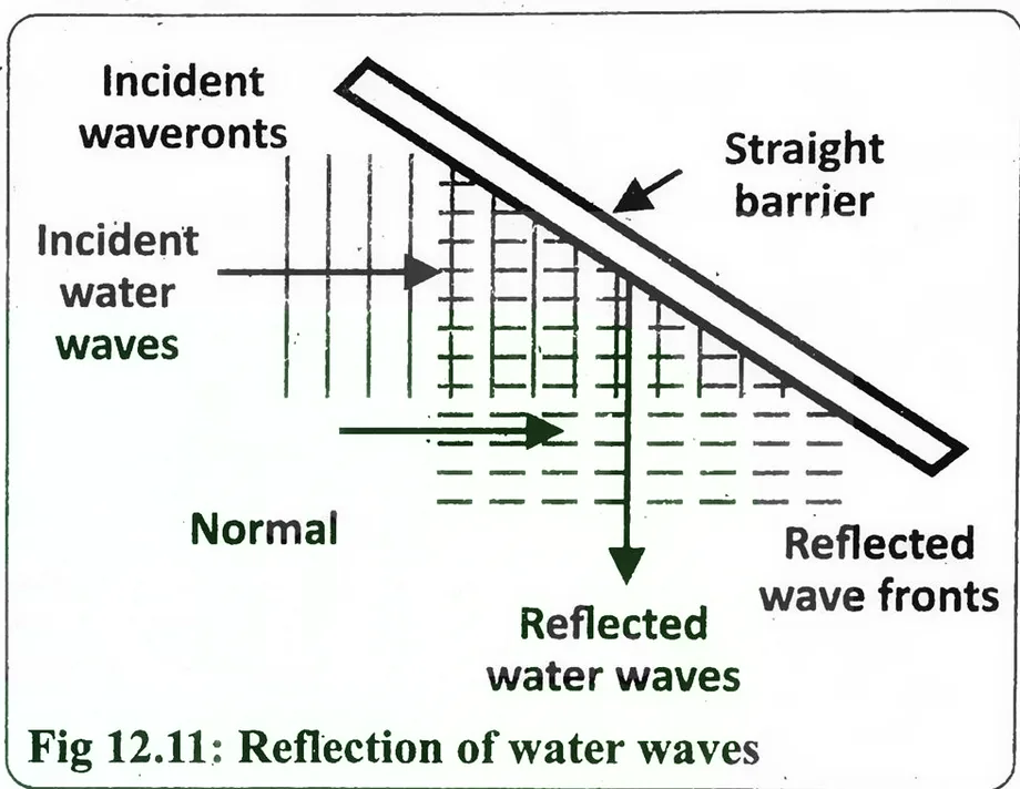 Fig 12.11: Reflection of water waves