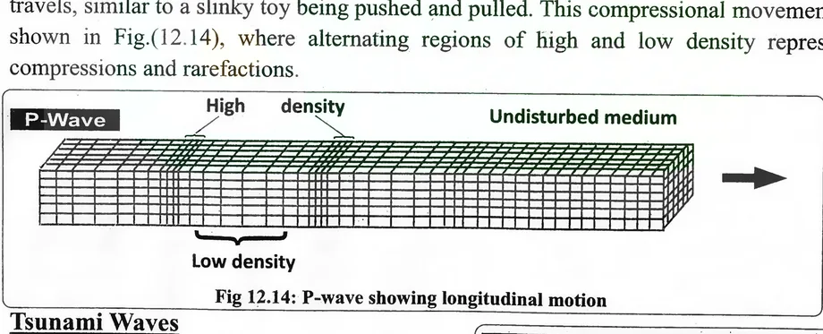 Fig 12.14: P-wave showing longitudinal motion