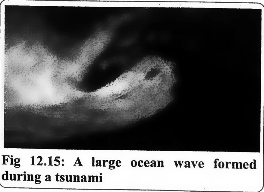 Fig 12.15: A large ocean wave formed during a tsunami