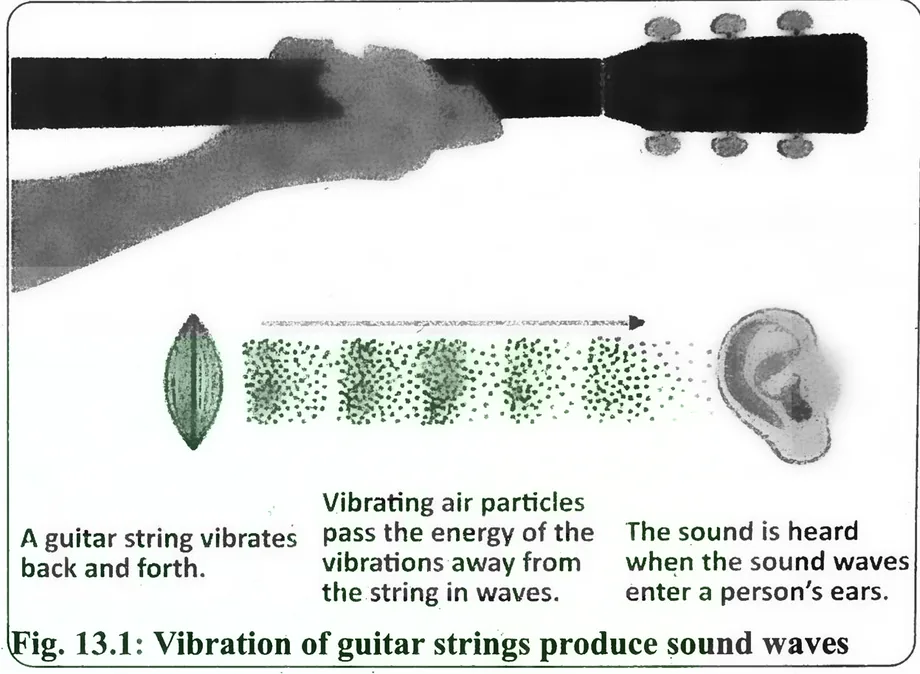 Fig 13.1: Speed of sound in various media
