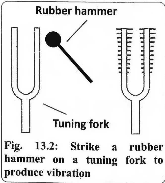 Fig 13.2: Strike a rubber hammer on a tuning fork to produce vibration