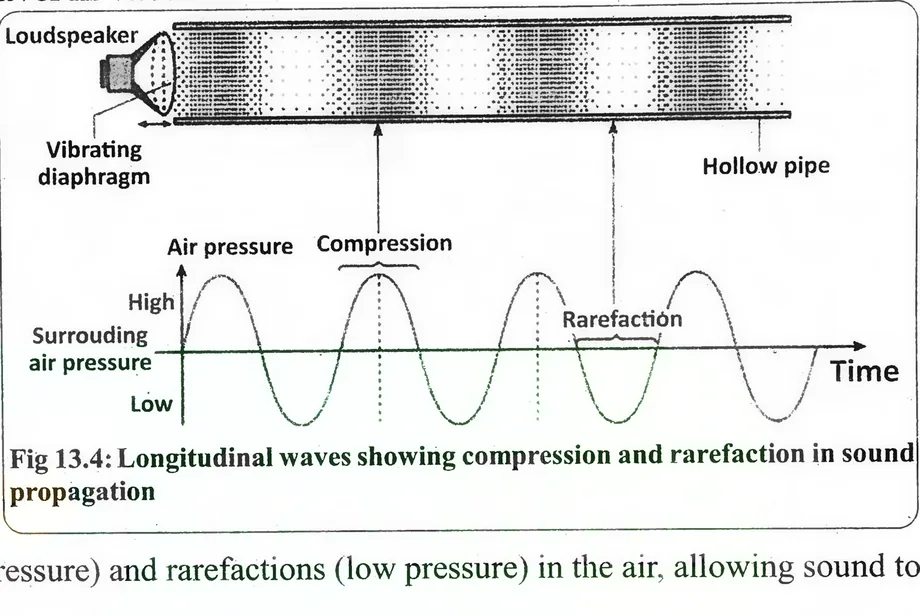 Fig 13.4: Longitudinal waves showing compression and rarefaction in sound propagation