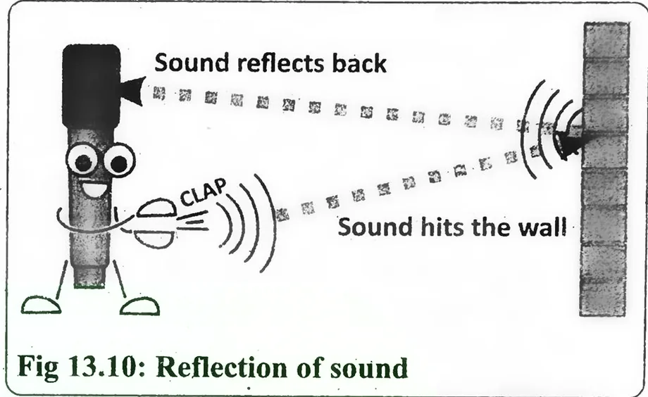 Fig 13.10: Reflection of sound