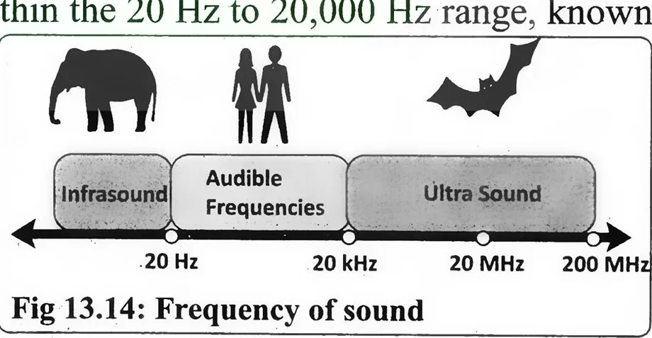 Fig 13.14: Frequency of sound