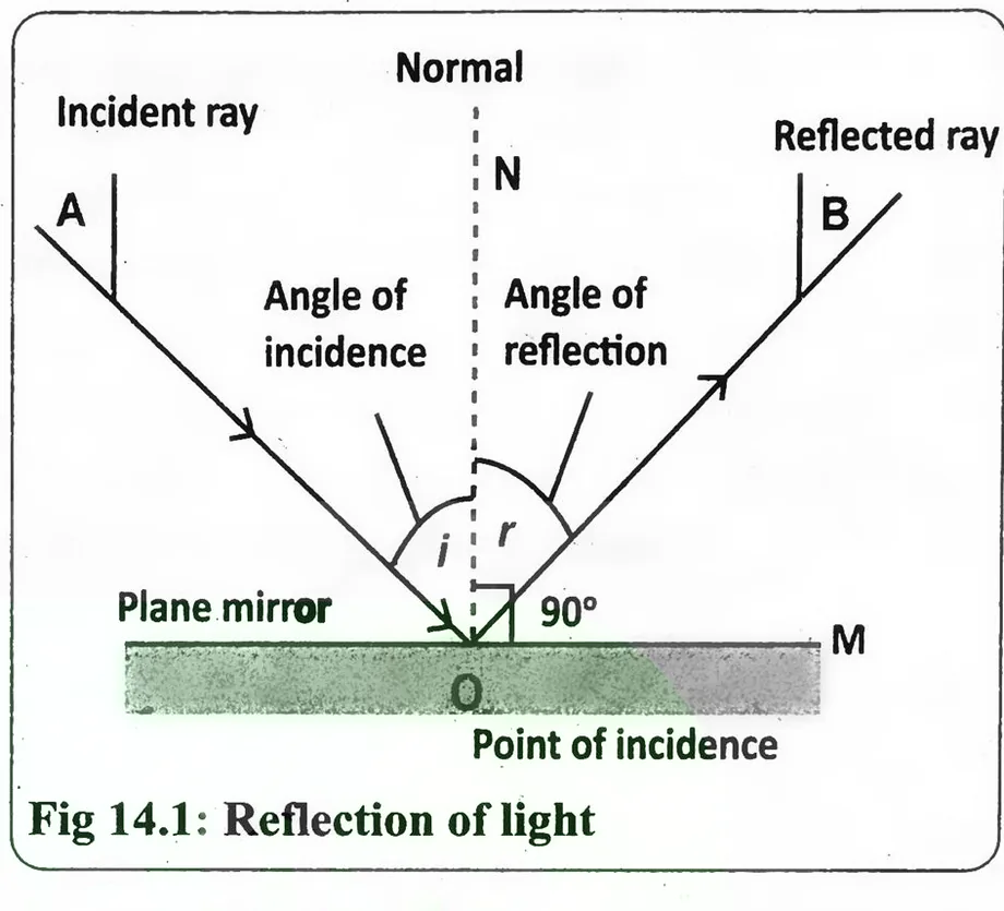 Fig 14.1: Reflection of light