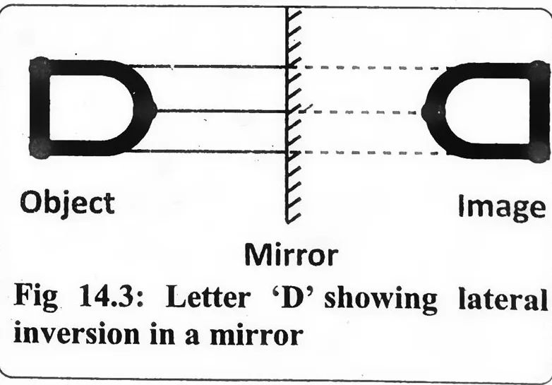 Fig 14.3: Letter 'D' showing lateral inversion in a mirror
