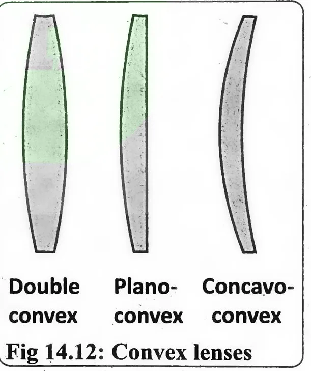 Fig 14.12: Convex lenses
