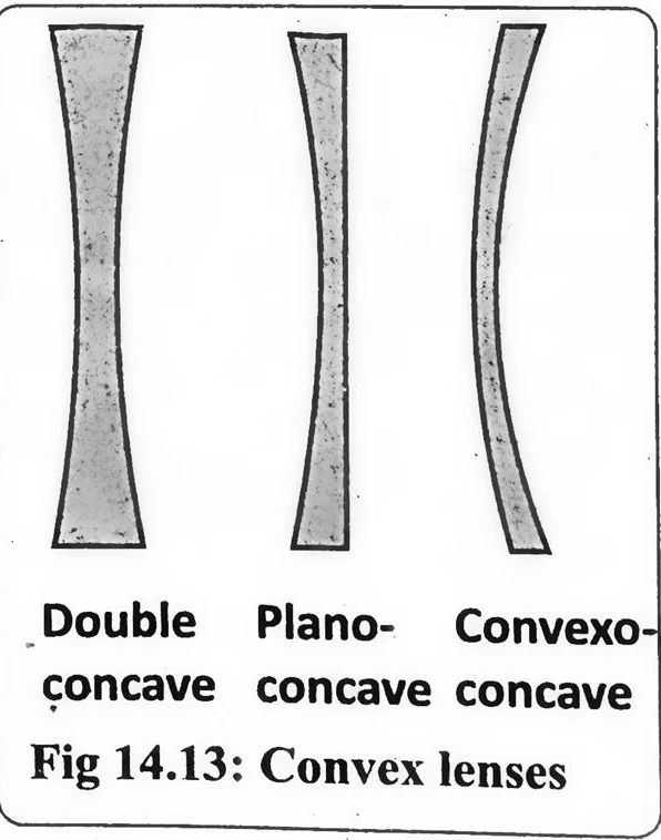 Fig 14.13: Convex lenses