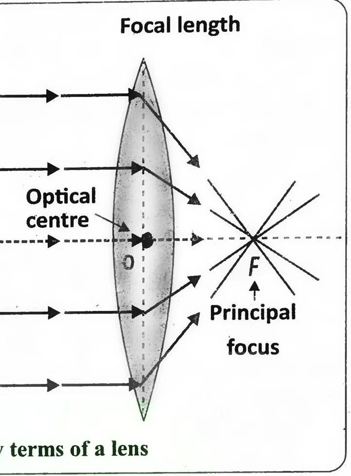 Fig 14.14: Key terms of a lens
