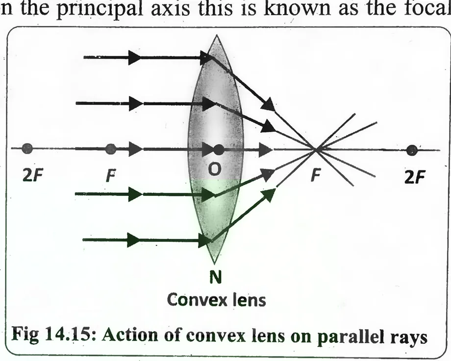 Fig 14.15: Action of convex lens on parallel rays