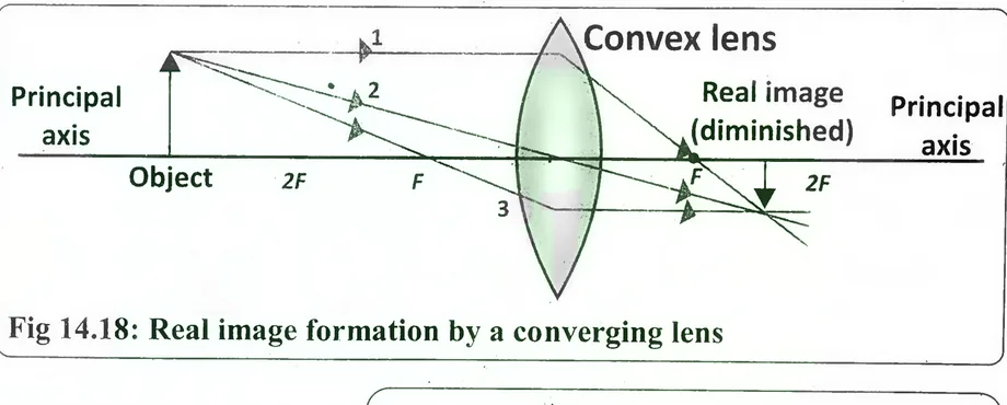 Fig 14.18: Real image formation by a converging lens