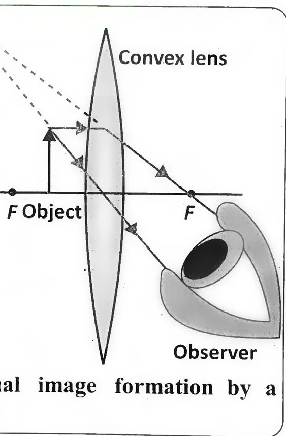 Fig 14.19: Virtual image formation by a converging lens