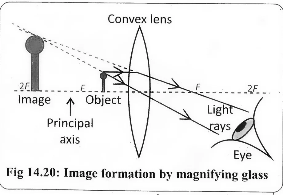 Fig 14.20: Image formation by magnifying glass