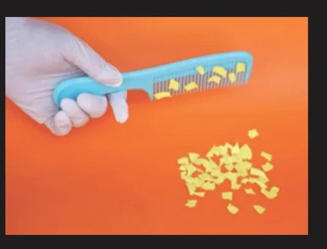 Fig 15.3: Comb rubbed with dry hair attracts small pieces of paper