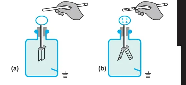 Fig 15.8: Detecting charge using a gold leaf electroscope