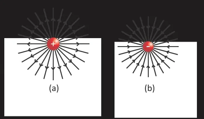 Fig 15.14: Electric field lines for isolated positive and negative point charges