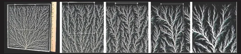 Fig 15.18: Self-Similarity in Lichtenberg figure